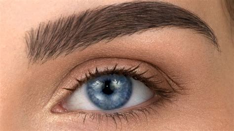 Brows natural. Things To Know About Brows natural. 